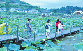 �߽���ˮ�ٺ���԰�ۺ��壬̽��������֪��������