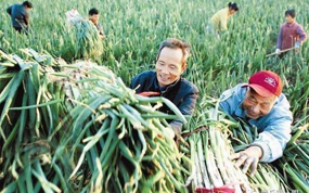 ����д���������һ��������˳����չ