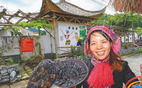 �������η�ƶ����Ͷ��11����Ԫ ����2�������ƶ