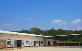 ��������ǩԼ��� ��ͬ�������ƹ�������