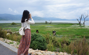 �����ο���������