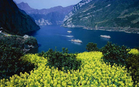 �ع��������� ũ�ý�ϳ�Ϊ��ɽ���������