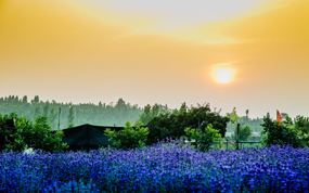 “鲁风运河·生态枣庄”美景亮相天津