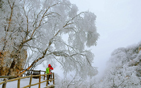 ������ѩ��ȥ�� ��ʯɽ����ѩ������