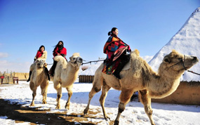 ���ĸ�����ӭ��16.74���˴�