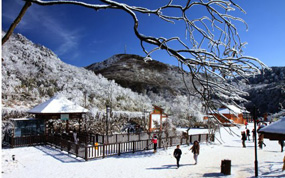 ���ɽ����Ԫ���ڼ�Ӵ��ο�6�����˴�