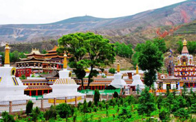 Ԫ�����������������г���������