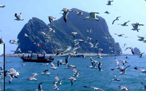 2017����̨����ʮ����Ͱ�����¯