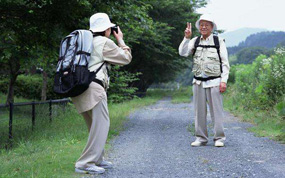 ̨���������γʶ�Ԫ������ �г�ǰ���ɴ���ʮ��Ԫ