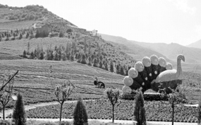 �ຣ��ͨ:ƫԶɽ��ҿ���ɴ,��������ξ���