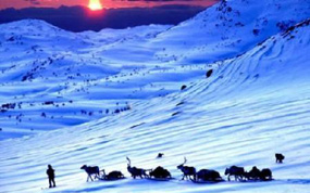 ����ʯ�С�����ѩ�ء���Ϊ����ɽ��ɽ��