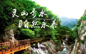 赏李花 泡温泉 品春宴 自然永泰喊你来过年