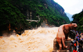 һ���ֻ������� ¿��Ϊ����Ͽ�ǻ۽����ṩһվʽ����