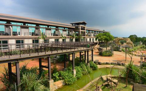 ��½�ο�����۹��ҵѩ�� ̨������ׯ���ù�ͣ��