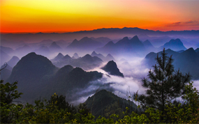 2018�й����⽡�����д������Զ����