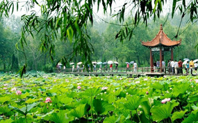 ��ׯ�ձ�С����������΢ɽ��ʪ�زμӡ������ܡ��