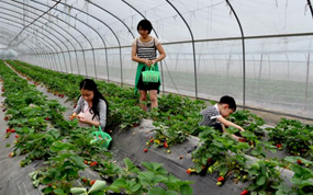 ��ժ��ʱ�� �����⳵�������顰ũ����Ȥ