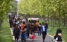 “五一”小长假 安徽共接待游客2819.62万人次