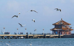 神州租车顺风车一口价100元 带你寻找初夏的味道