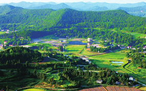 ����ʡ����������Ρ��ټ��