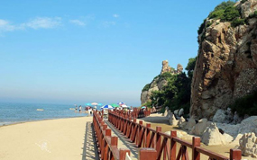 �Ϻ�65�Ҿ������ۻ���Ʊӭ�� ���ž���������