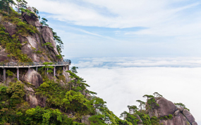 ����ɽ����������ָ�Ⱦ�ο�