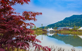 ������У��㲻�ò�����İ�������