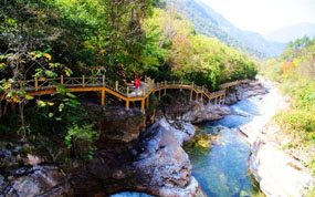 ��ү��ʥ����Ӿ��ÿ�˱�����ǧԪ �����˶Դ�����Ϊ�Ͽҵ�Ǹ