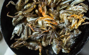 震泽美食六月黄品尝时令的味道