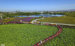 �������׽���Ҵ����ʪ�ع�԰�ɻ��ڿ�Ļ