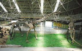 ������ʹ�԰����ɽϿ���е��ؾ�