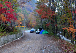 ���������������ף�� �������������������