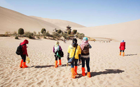 �����ο����ű�����ɳɽ.����Ȫ���� ʰ���� ��Ч����