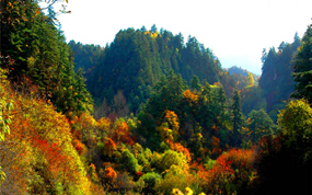 定西市旅发委全力推动年度重点任务落实