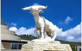 临夏和政打造“化石探秘游”金字招牌