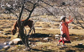 秋霜着彩贵清山 相约贵清品秋韵