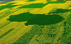 ����������ζ��鲻�������±���