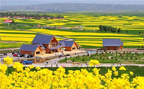 �����������������ա�����Ҵ��������������η�չ��ʵ