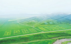 �����ⶼ�ڡ�ϲӭ�˷���