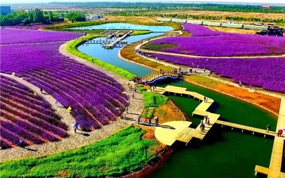 Â¤Ô´óµØ¾¡ÅûÂÌ×°¡¡±ðÑù¸ÊËàÓëÄúÏàÔ¼