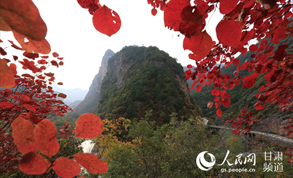 �����������Ҷ�ڡ������������η�չ