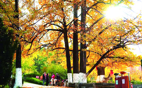 ½ðÉ«çÍ·×Ïç´å¡¡ÌïÔ°ÑøÉúÖ®³Ç ¡ª¡ª»ÕÏØÏç´åÂÃÓÎÒµ·¢Õ¹É¨Ãè