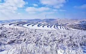 ����ͨμ����ɽ��ڡ����Ө�������续������