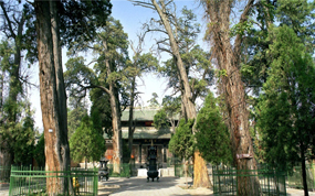 ������ˮ�ڴ�������Լ