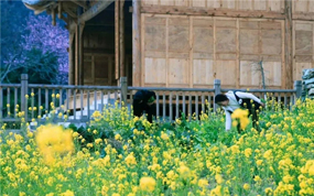 甘肃文旅厅厅长陈卫中写给妇女同胞的一封信