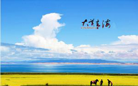 �������ຣ���ξ��ء��޴������ຣʡʵ�����ι������ȫ����