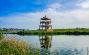 �������������г������ڼ�����������̬���Ρ����ȵ�