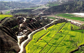 【打开乡村之美 点亮富裕之光】悠久陇东 人文生态体验游