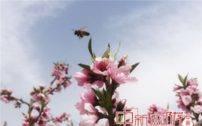 兰州黄河北岸创新