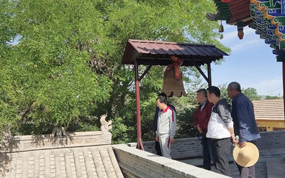 ����п�չ2020���ϰ������ﰲȫѲ��